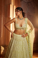 Load image into Gallery viewer, LIME GREEN TULLE LEHENGA CHOLI DUPATTA SET