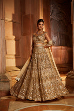 Load image into Gallery viewer, CHAMPAGNE GOLD TULLE LEHENGA CHOLI DUPATTA SET WITH WORKED BELT