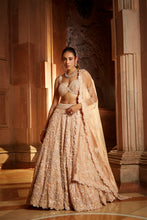 Load image into Gallery viewer, PEACH TULLE LEHENGA CHOLI DUPATTA SET