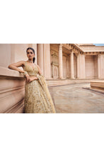 Load image into Gallery viewer, GOLD TULLE LEHENGA CHOLI SET