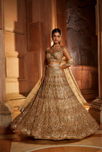 Load image into Gallery viewer, CHAMPAGNE GOLD TULLE LEHENGA CHOLI DUPATTA SET WITH WORKED BELT