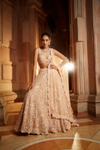 Load image into Gallery viewer, PEACH TULLE LEHENGA CHOLI DUPATTA SET