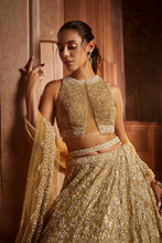 Load image into Gallery viewer, GOLD TULLE LEHENGA CHOLI DUPATTA SET WITH WORKED BELT