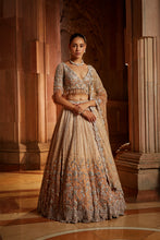 Load image into Gallery viewer, MUSHROOM OMBRE DYED ORGANZA LEHENGA CHOLI SET WITH TULLE DUPATTA
