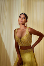 Load image into Gallery viewer, LIME GREEN LEHENGA SET