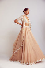 Load image into Gallery viewer, Beige Organza Lehenga Set
