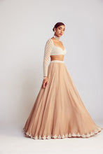 Load image into Gallery viewer, Beige Pearl Chandelier Drop Organza Lehenga Set