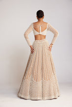 Load image into Gallery viewer, Beige Chandelier Pearl Lehenga Set