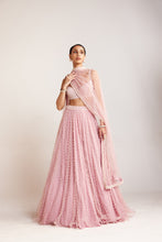 Load image into Gallery viewer, Blouse Lehenga Dupatta