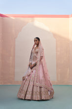 Load image into Gallery viewer, Blush Pink Double Dupatta Lehenga Set