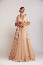 Load image into Gallery viewer, Beige Organza Lehenga Set