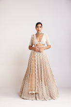 Load image into Gallery viewer, Beige V Neck Chandelier Pearl Lehenga Set