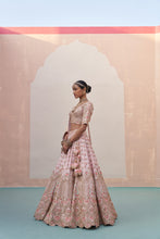 Load image into Gallery viewer, Blush Pink Double Dupatta Lehenga Set