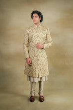 Load image into Gallery viewer, Sand grey anarkali kurta set