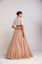 Load image into Gallery viewer, Beige Organza Lehenga Set