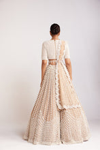 Load image into Gallery viewer, Beige V Neck Chandelier Pearl Lehenga Set