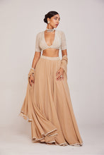Load image into Gallery viewer, Beige Lehenga Pants Set