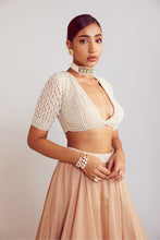 Load image into Gallery viewer, Beige Organza Lehenga Set