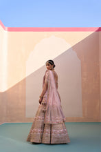 Load image into Gallery viewer, Blush Pink Double Dupatta Lehenga Set