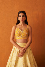 Load image into Gallery viewer, Yellow Raw Silk Lehenga Set