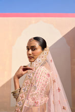 Load image into Gallery viewer, Blush Pink Double Dupatta Lehenga Set