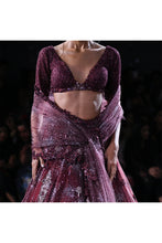 Load image into Gallery viewer, Crystal sheeted choli paired with Embroidered and cutwork edge shimmer tulle dupatta