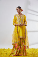 Load image into Gallery viewer, Anjali Sharara Set