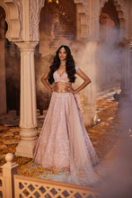 Load image into Gallery viewer, Pink embroidered lehenga