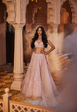 Load image into Gallery viewer, Pink embroidered lehenga