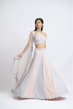 Load image into Gallery viewer, LEHENGA CHOLI SET