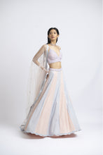 Load image into Gallery viewer, LEHENGA CHOLI SET