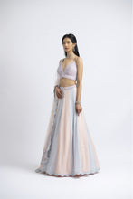Load image into Gallery viewer, LEHENGA CHOLI SET