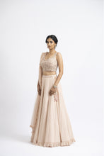 Load image into Gallery viewer, BLUSH PINK LEHENGA CHOLI SET