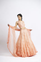 Load image into Gallery viewer, LEHENGA CHOLI SET