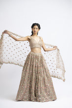 Load image into Gallery viewer, LEHENGA CHOLI SET