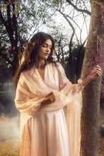 Load image into Gallery viewer, BLUSH PINK ANARKALI SET