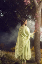 Load image into Gallery viewer, SOFT GREEN ANARKALI SET