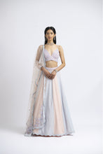 Load image into Gallery viewer, LEHENGA CHOLI SET