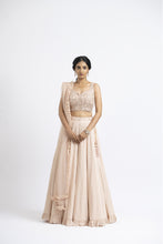 Load image into Gallery viewer, BLUSH PINK LEHENGA CHOLI SET
