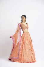 Load image into Gallery viewer, MANGO ORANGE GEORGETTE LEHENGA CHOLI SET