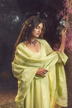 Load image into Gallery viewer, SOFT GREEN ANARKALI SET