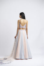 Load image into Gallery viewer, LEHENGA CHOLI SET