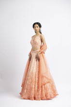 Load image into Gallery viewer, LEHENGA CHOLI SET