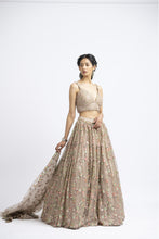 Load image into Gallery viewer, LEHENGA CHOLI SET