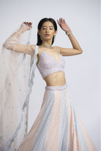 Load image into Gallery viewer, LEHENGA CHOLI SET