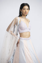 Load image into Gallery viewer, LEHENGA CHOLI SET