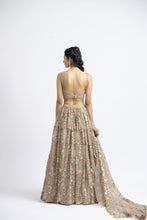 Load image into Gallery viewer, LEHENGA CHOLI SET