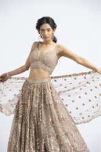 Load image into Gallery viewer, LEHENGA CHOLI SET