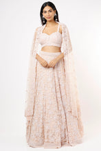 Load image into Gallery viewer, Pink organza self on self embroidered lehenga