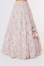 Load image into Gallery viewer, Pink organza embroidered lehenga